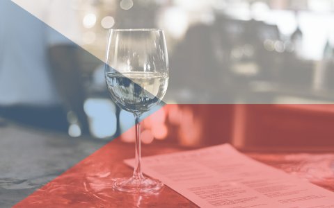 Česká republika; Převážná část vinic se nachází na Jižní Moravě. Moravě patří více než 90% produkce vína. V Čechách máme dvě oblasti a to na Mělnicku a Litoměřicku, kde se nejvíce daří odrůdám Ryzlink rýnský a Rulandské modré.